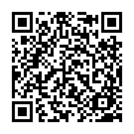 QR code for plate 295-SNO