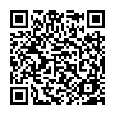 QR code for plate 295-SVE