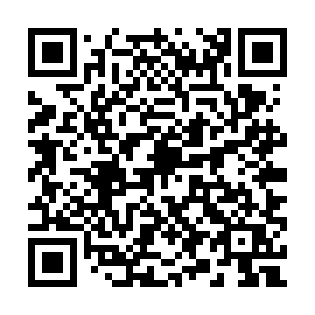 QR code for 295VHQ