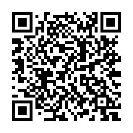QR code for 295XRE