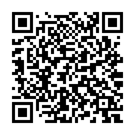 QR code for 296-QPP