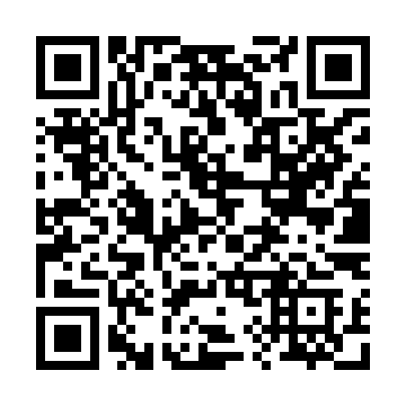 QR code for plate 296-XIC