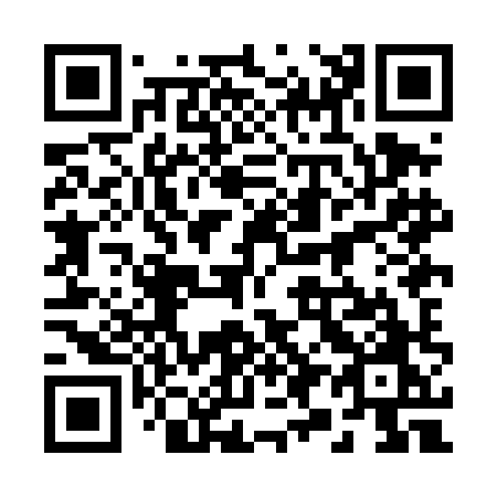 QR code for plate 298-DHO