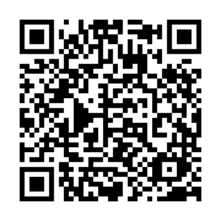 QR code for plate 298-HNM