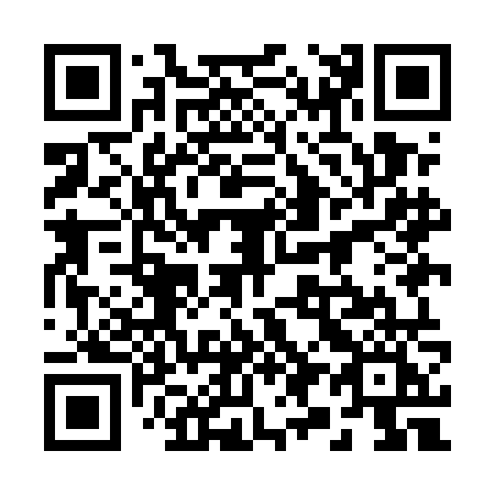 QR code for plate 299-ENI