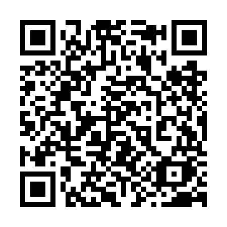 QR code for plate 299-GOK