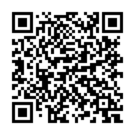 QR code for plate 299-HUH