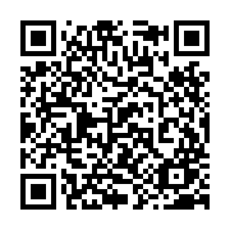 QR code for plate 299-LMW