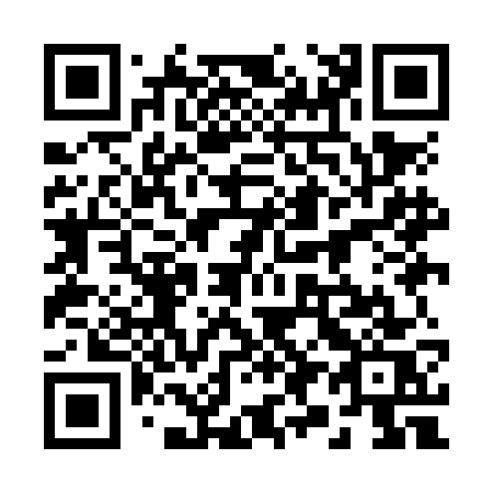 QR code for plate 299-NGS