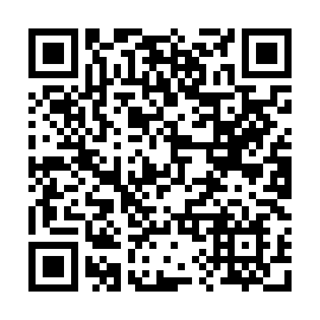QR code for plate 299-NLN