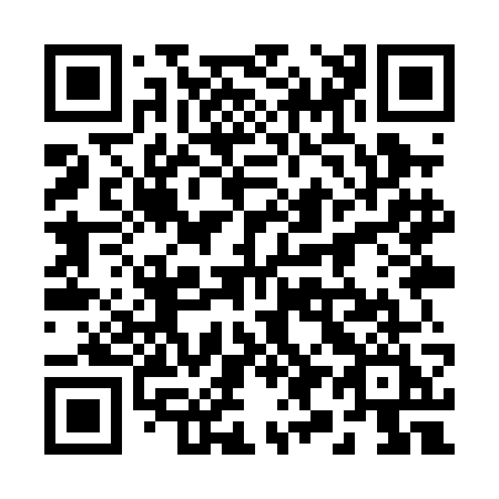 QR code for plate 299-PGI