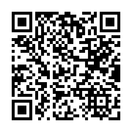 QR code for plate 299-RLG