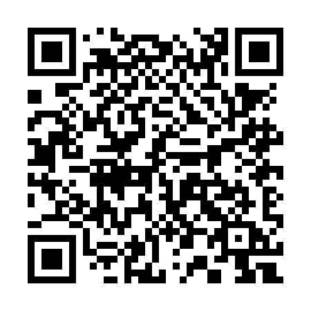 QR code for 300-NIA