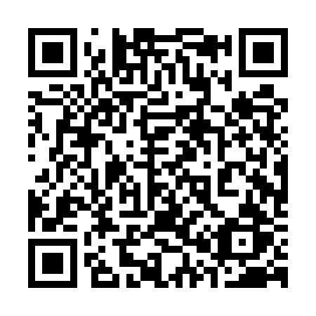 QR code for plate 300-ERR
