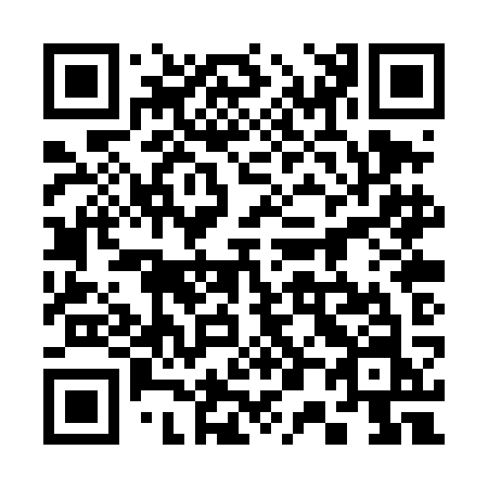 QR code for plate 300-TKN