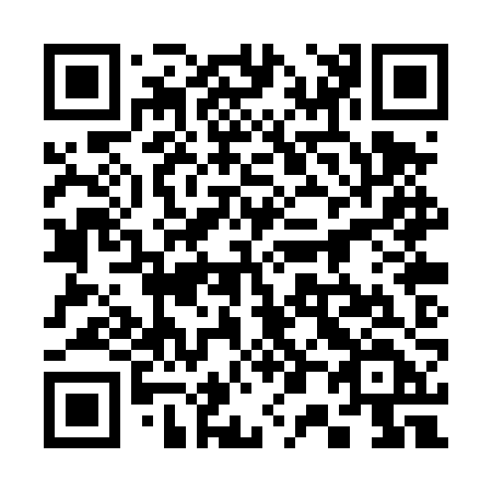 QR code for plate 300-TZD