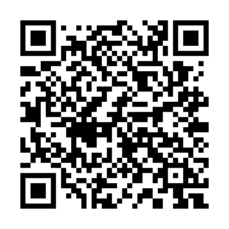 QR code for plate 300-WFH