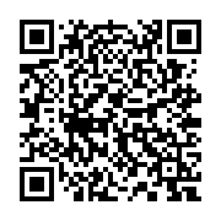 QR code for plate 300-WOJ