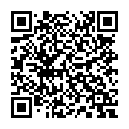 QR code for plate 301-LSV