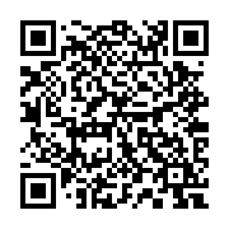 QR code for plate 302-PYY