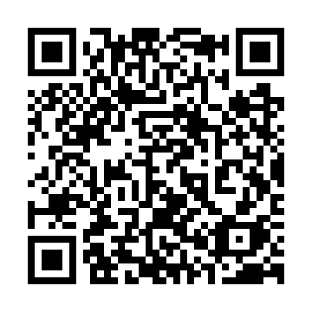 QR code for plate 303-WSH