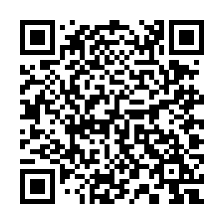 QR code for plate 304-DJM