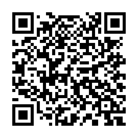 QR code for plate 304-NFF