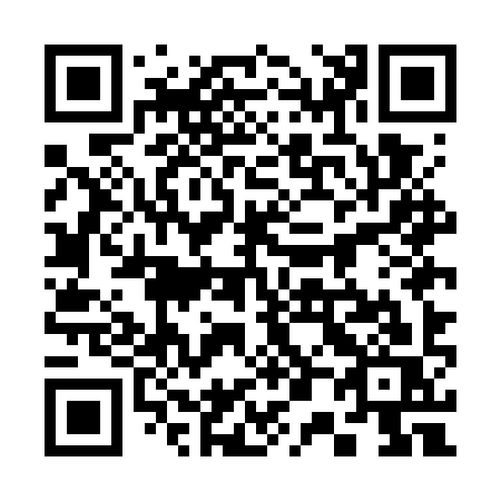 QR code for 305-GYS