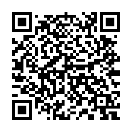QR code for 305-TSR