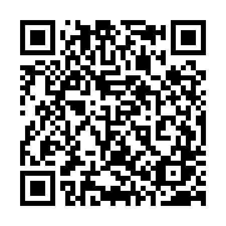 QR code for plate 305-ATS