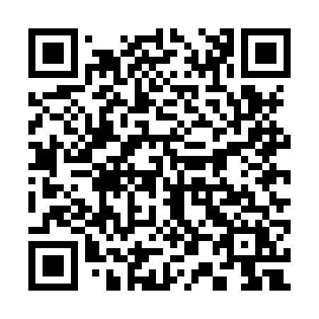 QR code for plate 305-HVX
