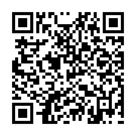 QR code for plate 305-ICN