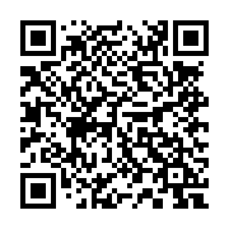 QR code for plate 305-LVE