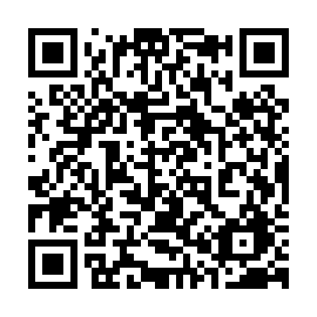 QR code for plate 305-PRG