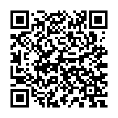 QR code for plate 305-SLK