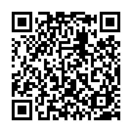 QR code for plate 305-TYC