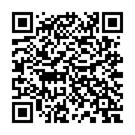 QR code for plate 305-UDE