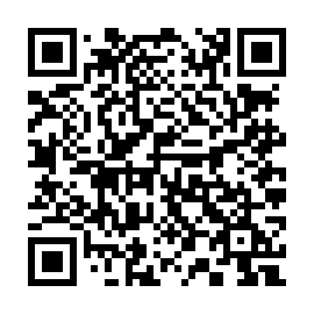 QR code for plate 306-LGE