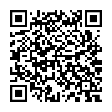 QR code for 306SVI
