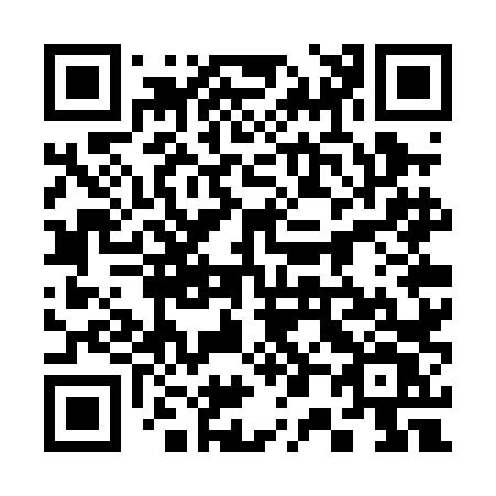 QR code for 307-PLV