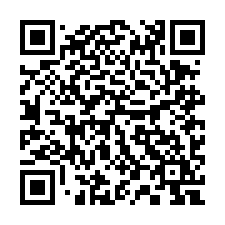 QR code for plate 307-DIY