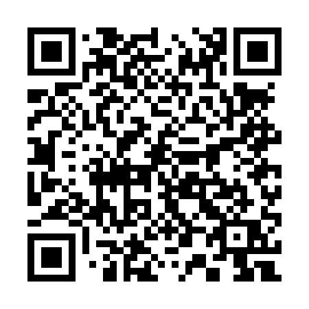 QR code for plate 307-LQQ
