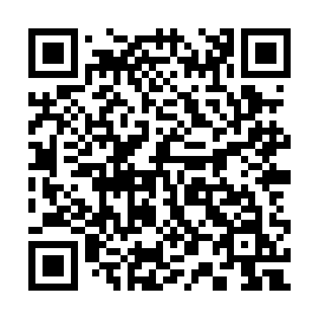 QR code for 308-PAN