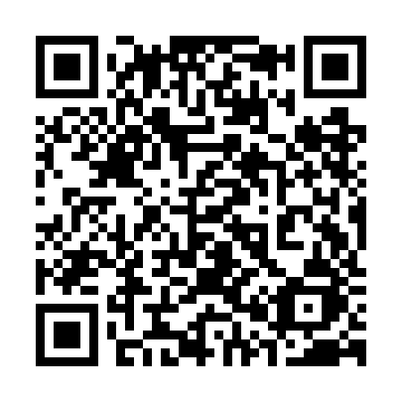 QR code for plate 309-GJJ