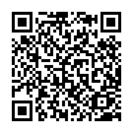 QR code for plate 310-POP