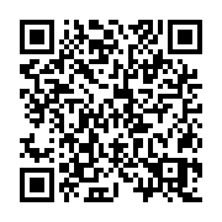 QR code for 311-ANS