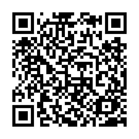 QR code for 311-GOO