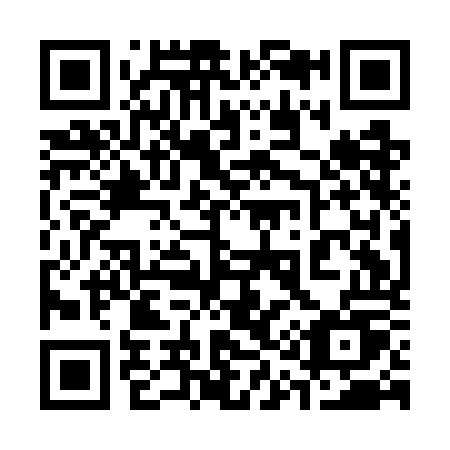 QR code for 311-GOU
