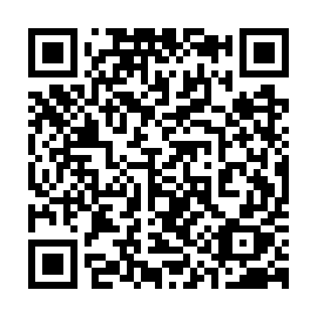 QR code for 311-GUX