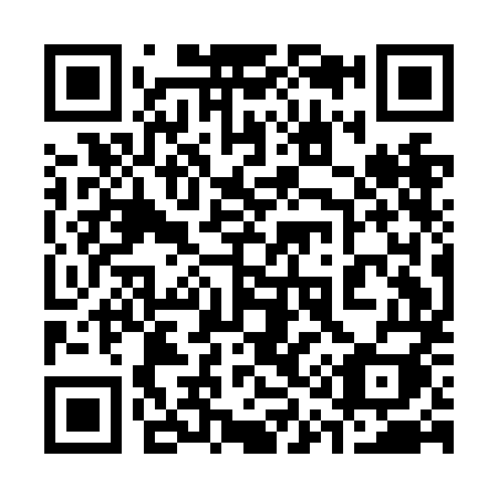 QR code for 311-NMI
